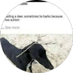 Profile photo of Bryzik Pruszynski