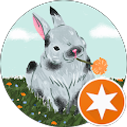 Profile photo of Kaitlyn Mestas