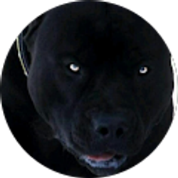 Profile photo of Joshua Evans