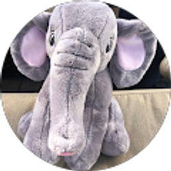 Profile photo of Tito Lopez