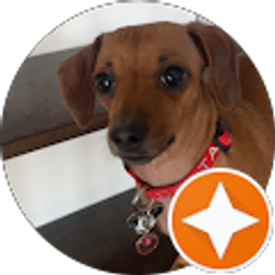 Profile photo of Suheill Beltran