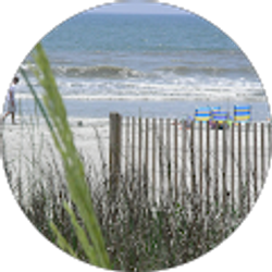 Profile photo of Dawn Brisendine