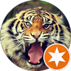 Profile photo of Keith Palinsky