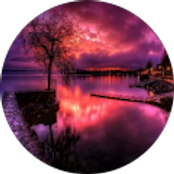 Profile photo of Jeffrey Haynes