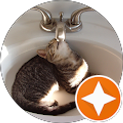 Profile photo of miki smith