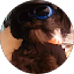 Profile photo of Kim Frech