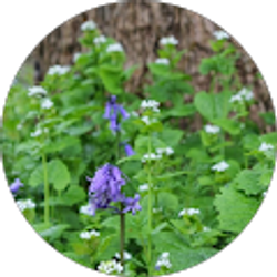 Profile photo of missy molleston