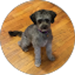 Profile photo of Ella Hunt