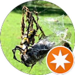 Profile photo of David Shreve