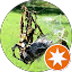 Profile photo of David Shreve