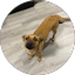 Profile photo of jules