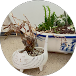 Profile photo of Mary Sutton