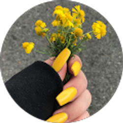 Profile photo of Lexi Sipes