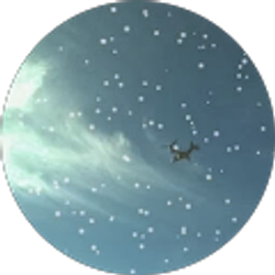 Profile photo of Pedro Ibarra