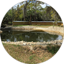 Profile photo of azaz12877 Gaming