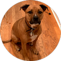 Profile photo of Lila Schooler