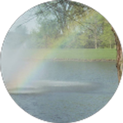 Profile photo of Gio De Jesus