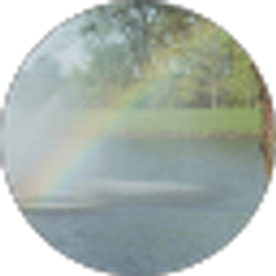 Profile photo of Gio De Jesus