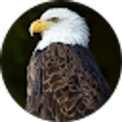 Profile photo of Larry O'Connor