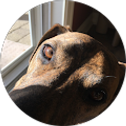 Profile photo of Cynthia Marusarz