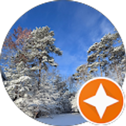 Profile photo of S Mitchell