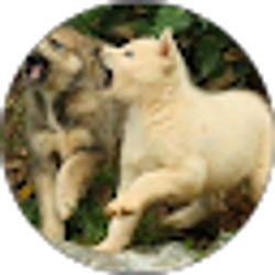Profile photo of tonia