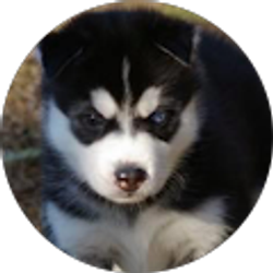 Profile photo of TODD ATKINS