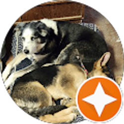 Profile photo of HellsFallenAngel