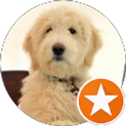 Profile photo of Akshay Ravikumar