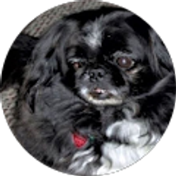 Profile photo of gail Sadler