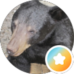 Profile photo of robelec4