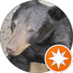 Profile photo of robelec4