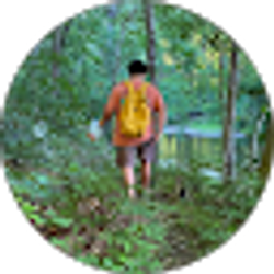 Profile photo of Collin Palmeri
