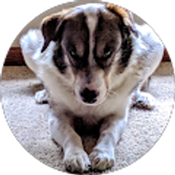 Profile photo of Andrea Kaps