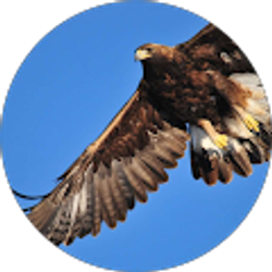 Profile photo of Diane Littel