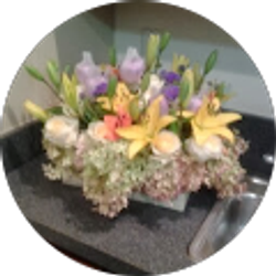 Profile photo of Venpeng x