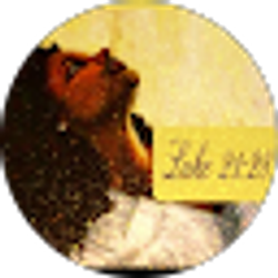 Profile photo of LaShanda Rooks