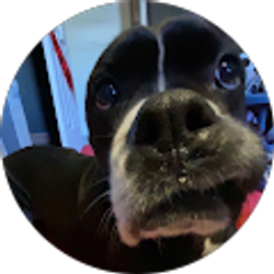 Profile photo of Hevon Schooley