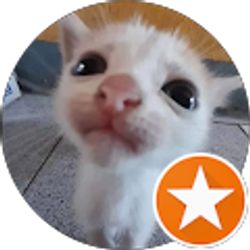 Profile photo of Elijah Acosta