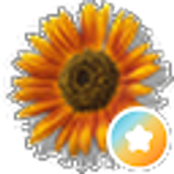 Profile photo of Elena Fajardo