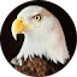 Profile photo of Scott Hoffer