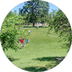 Profile photo of wanda