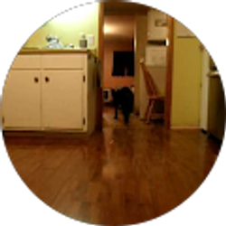 Profile photo of Julie Oliver