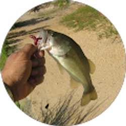 Profile photo of Edward Preston