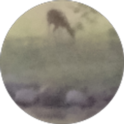 Profile photo of JC O'Donnell