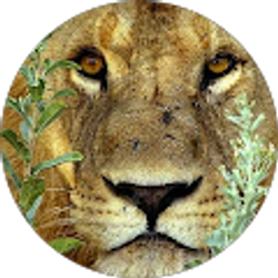 Profile photo of Yancey Bady