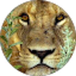 Profile photo of Yancey Bady
