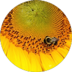 Profile photo of DCMH