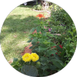 Profile photo of Pedro Garcia