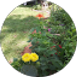 Profile photo of Pedro Garcia